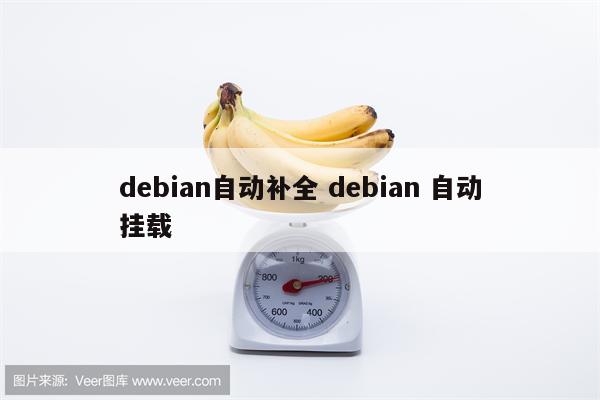 debian自动补全 debian 自动挂载