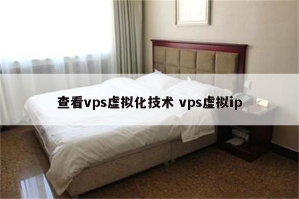 查看vps虚拟化技术 vps虚拟ip