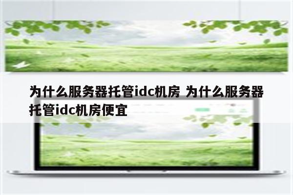为什么服务器托管idc机房 为什么服务器托管idc机房便宜