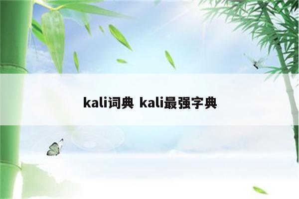 kali词典 kali最强字典