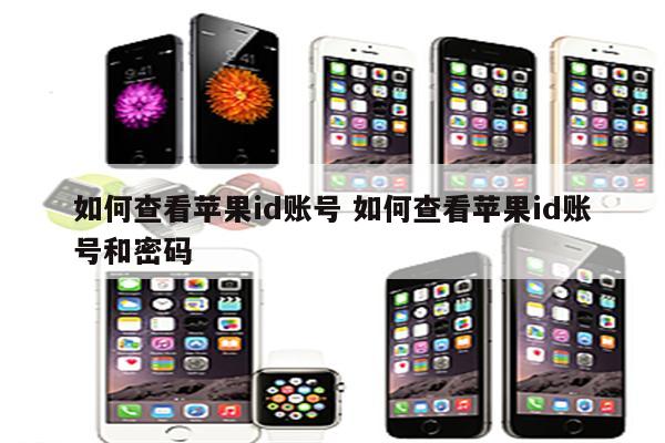 如何查看苹果id账号 如何查看苹果id账号和密码