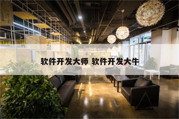 软件开发大师 软件开发大牛