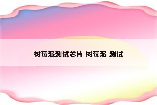 树莓派测试芯片 树莓派 测试