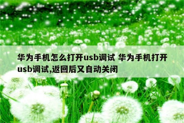 华为手机怎么打开usb调试 华为手机打开usb调试,返回后又自动关闭