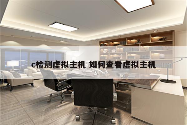c检测虚拟主机 如何查看虚拟主机