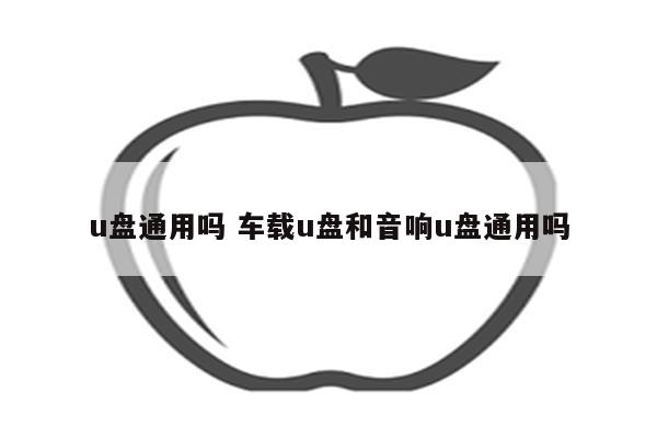 u盘通用吗 车载u盘和音响u盘通用吗