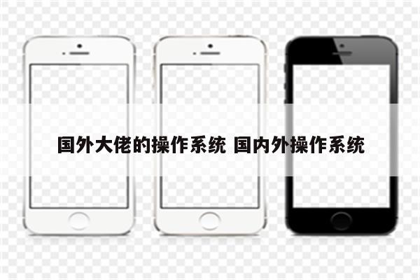国外大佬的操作系统 国内外操作系统