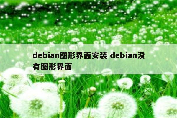 debian图形界面安装 debian没有图形界面