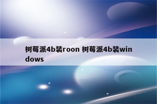 树莓派4b装roon 树莓派4b装windows