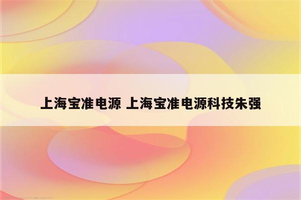 上海宝准电源 上海宝准电源科技朱强