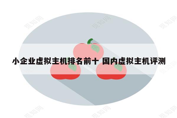 小企业虚拟主机排名前十 国内虚拟主机评测