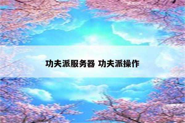 功夫派服务器 功夫派操作