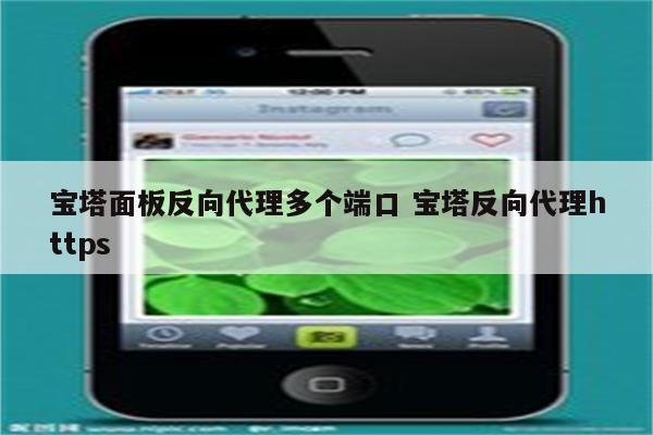 宝塔面板反向代理多个端口 宝塔反向代理https