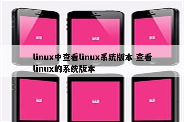 linux中查看linux系统版本 查看linux的系统版本