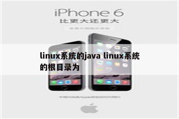 linux系统的java linux系统的根目录为