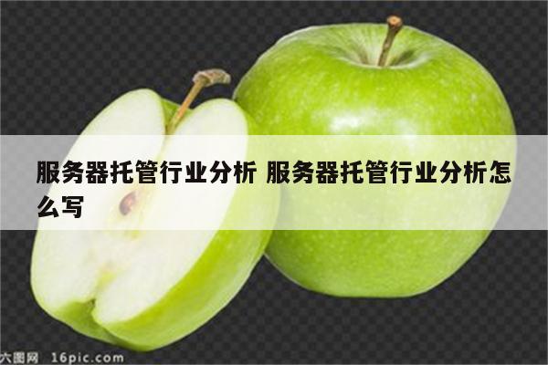 服务器托管行业分析 服务器托管行业分析怎么写