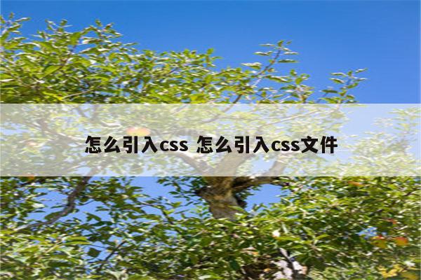 怎么引入css 怎么引入css文件