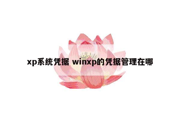 xp系统凭据 winxp的凭据管理在哪