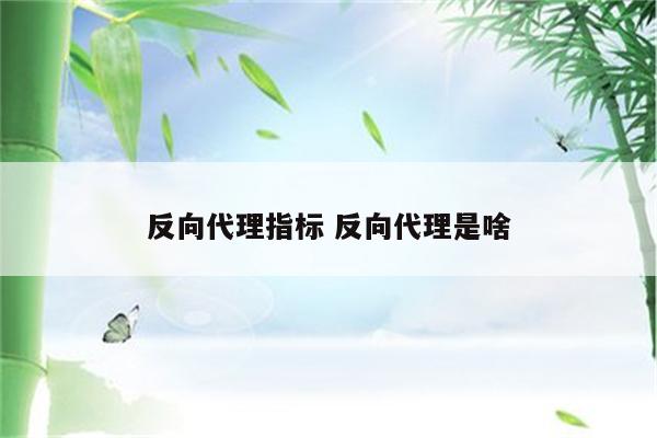 反向代理指标 反向代理是啥