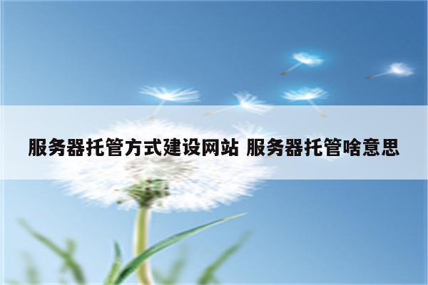 服务器托管方式建设网站 服务器托管啥意思