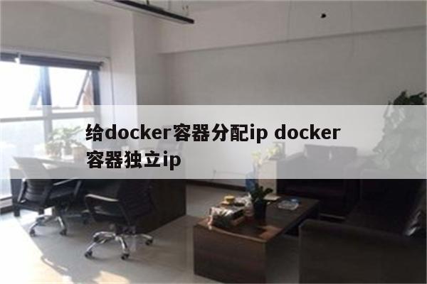给docker容器分配ip docker容器独立ip