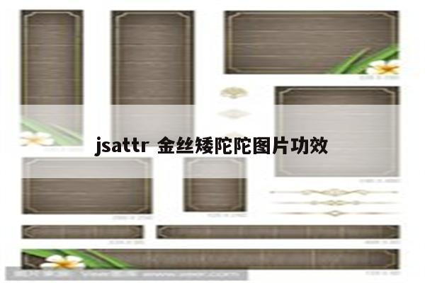 jsattr 金丝矮陀陀图片功效