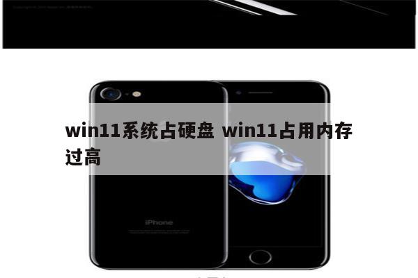 win11系统占硬盘 win11占用内存过高
