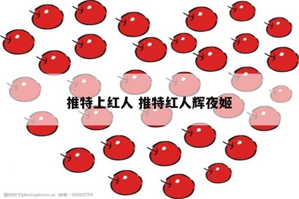推特上红人 推特红人辉夜姬