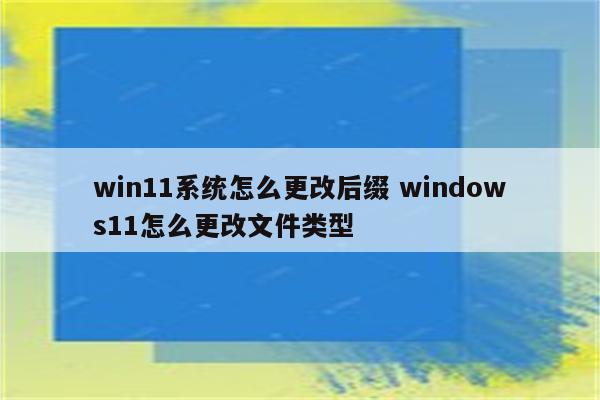 win11系统怎么更改后缀 windows11怎么更改文件类型
