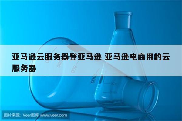亚马逊云服务器登亚马逊 亚马逊电商用的云服务器