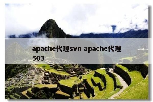 apache代理svn apache代理503