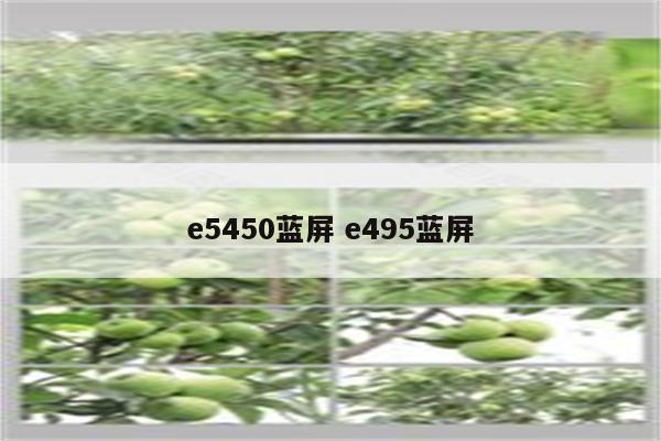 e5450蓝屏 e495蓝屏