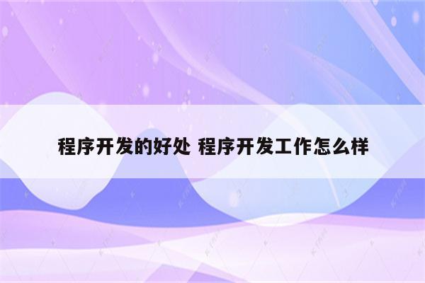 程序开发的好处 程序开发工作怎么样
