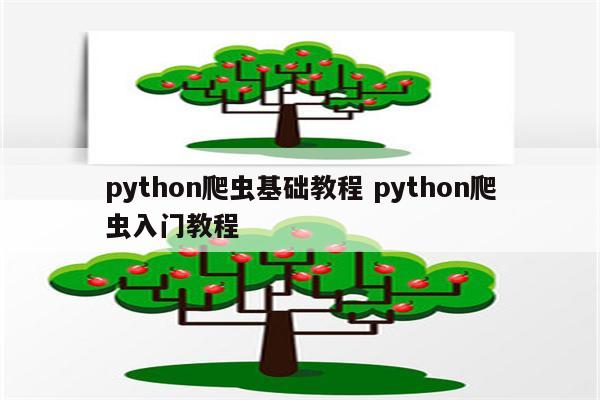 python爬虫基础教程 python爬虫入门教程