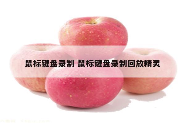 鼠标键盘录制 鼠标键盘录制回放精灵