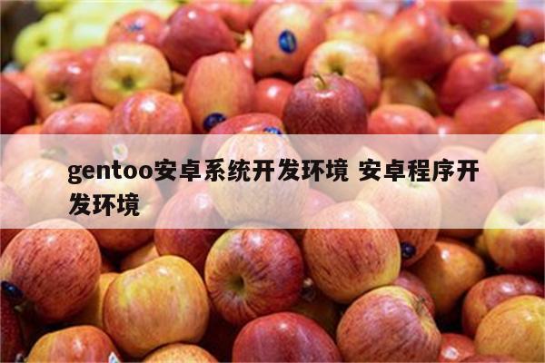 gentoo安卓系统开发环境 安卓程序开发环境