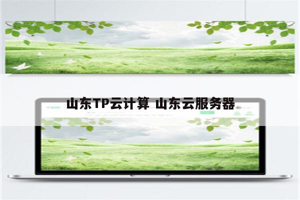 山东TP云计算 山东云服务器
