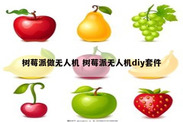 树莓派做无人机 树莓派无人机diy套件