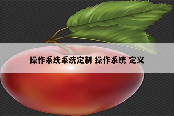 操作系统系统定制 操作系统 定义