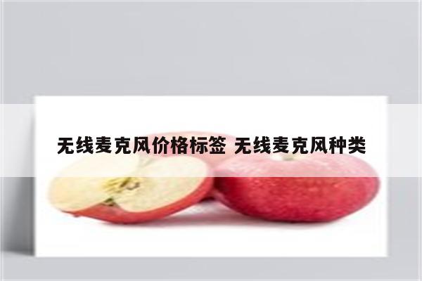 无线麦克风价格标签 无线麦克风种类