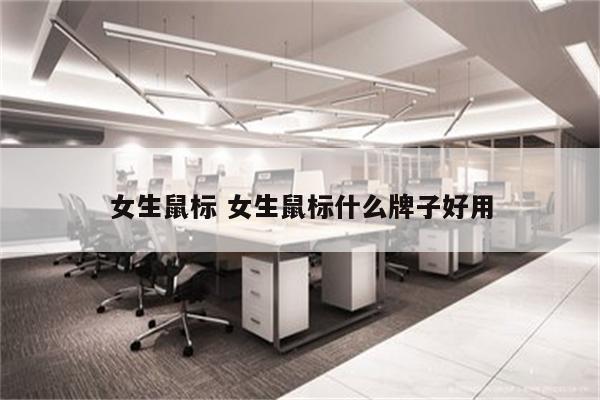 女生鼠标 女生鼠标什么牌子好用