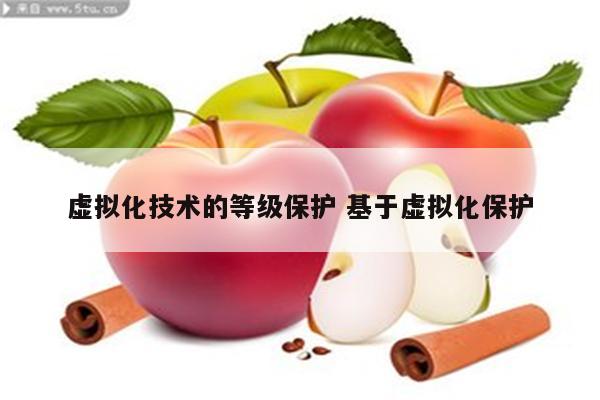 虚拟化技术的等级保护 基于虚拟化保护