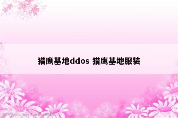 猎鹰基地ddos 猎鹰基地服装