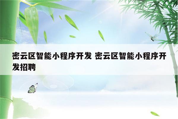 密云区智能小程序开发 密云区智能小程序开发招聘