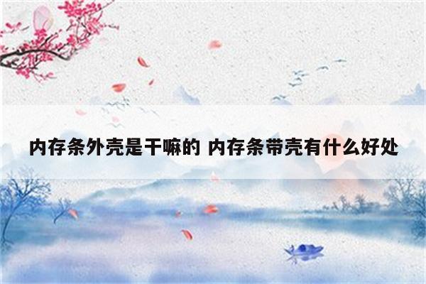 内存条外壳是干嘛的 内存条带壳有什么好处