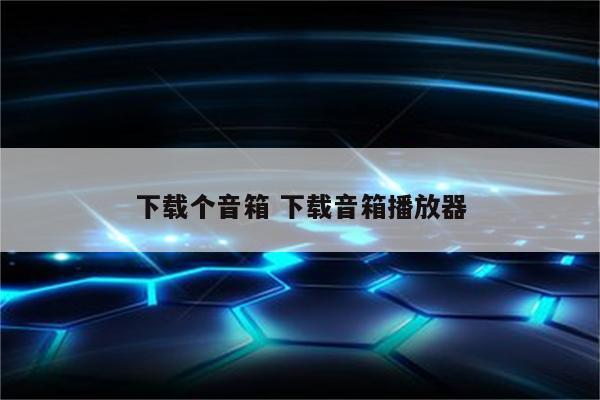 下载个音箱 下载音箱播放器