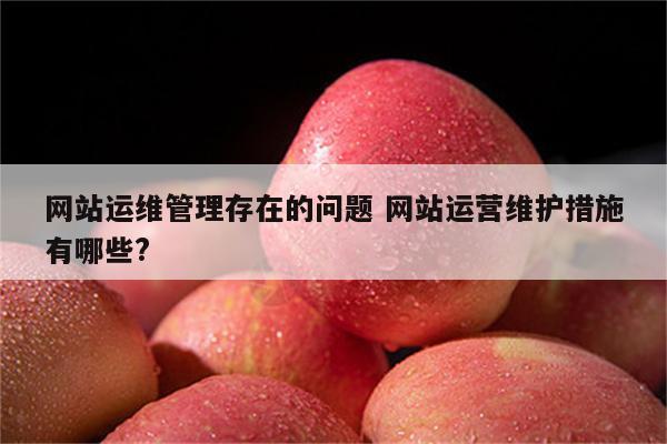 网站运维管理存在的问题 网站运营维护措施有哪些?