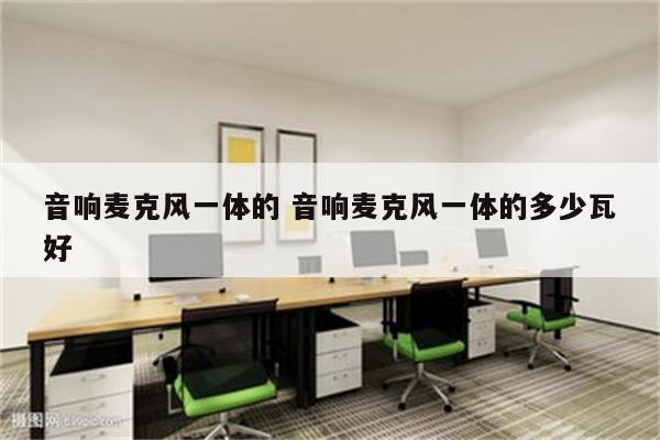 音响麦克风一体的 音响麦克风一体的多少瓦好