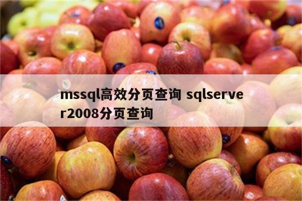 mssql高效分页查询 sqlserver2008分页查询