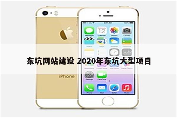 东坑网站建设 2020年东坑大型项目